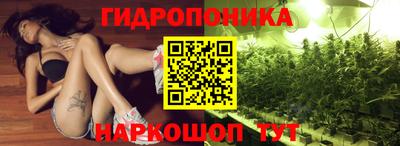 стаф Тара