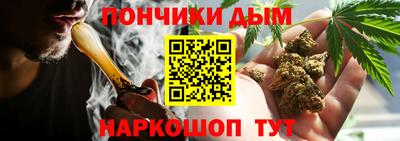 стаф Тара